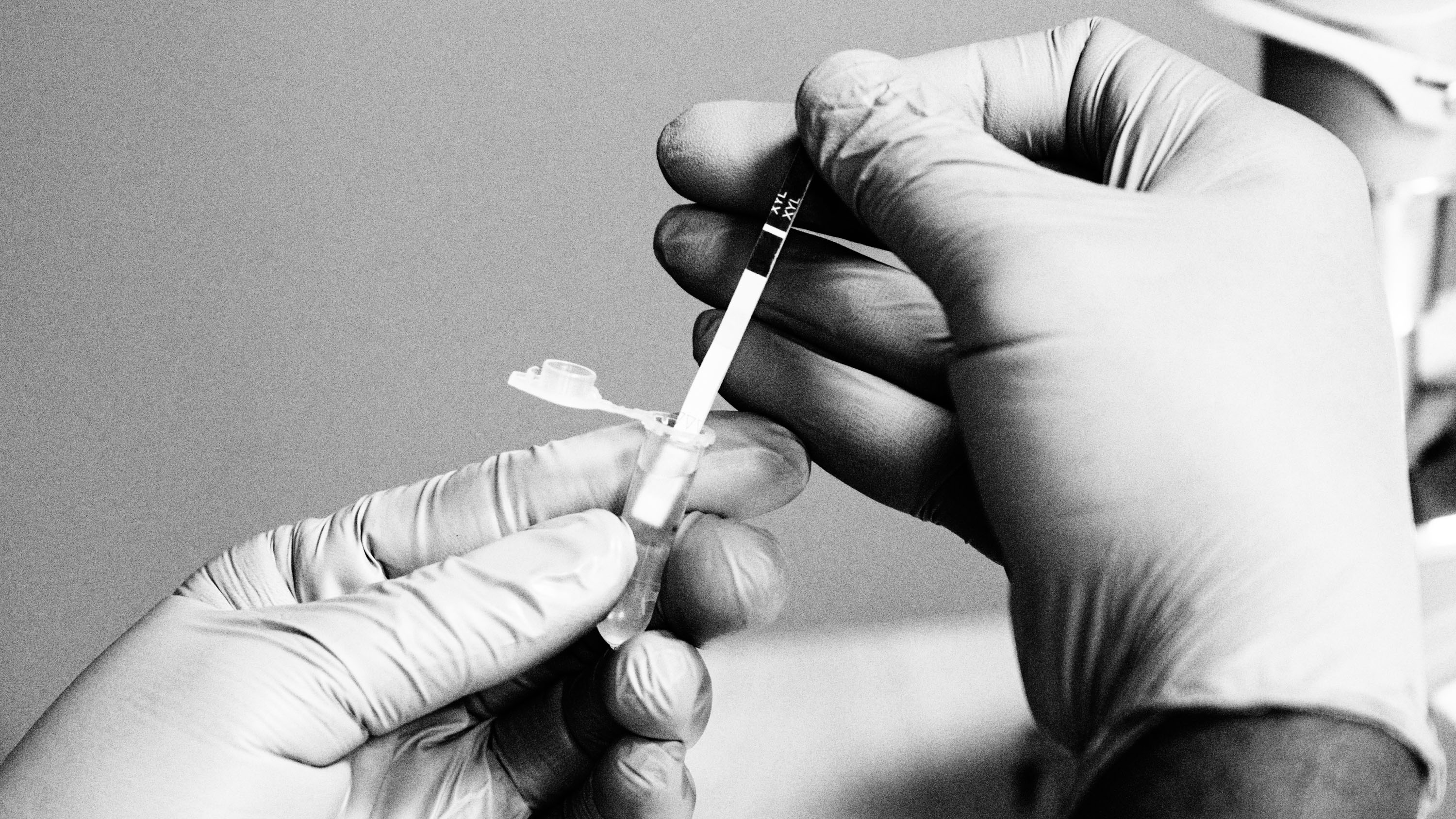 gloved hands insert a test strip into a tube