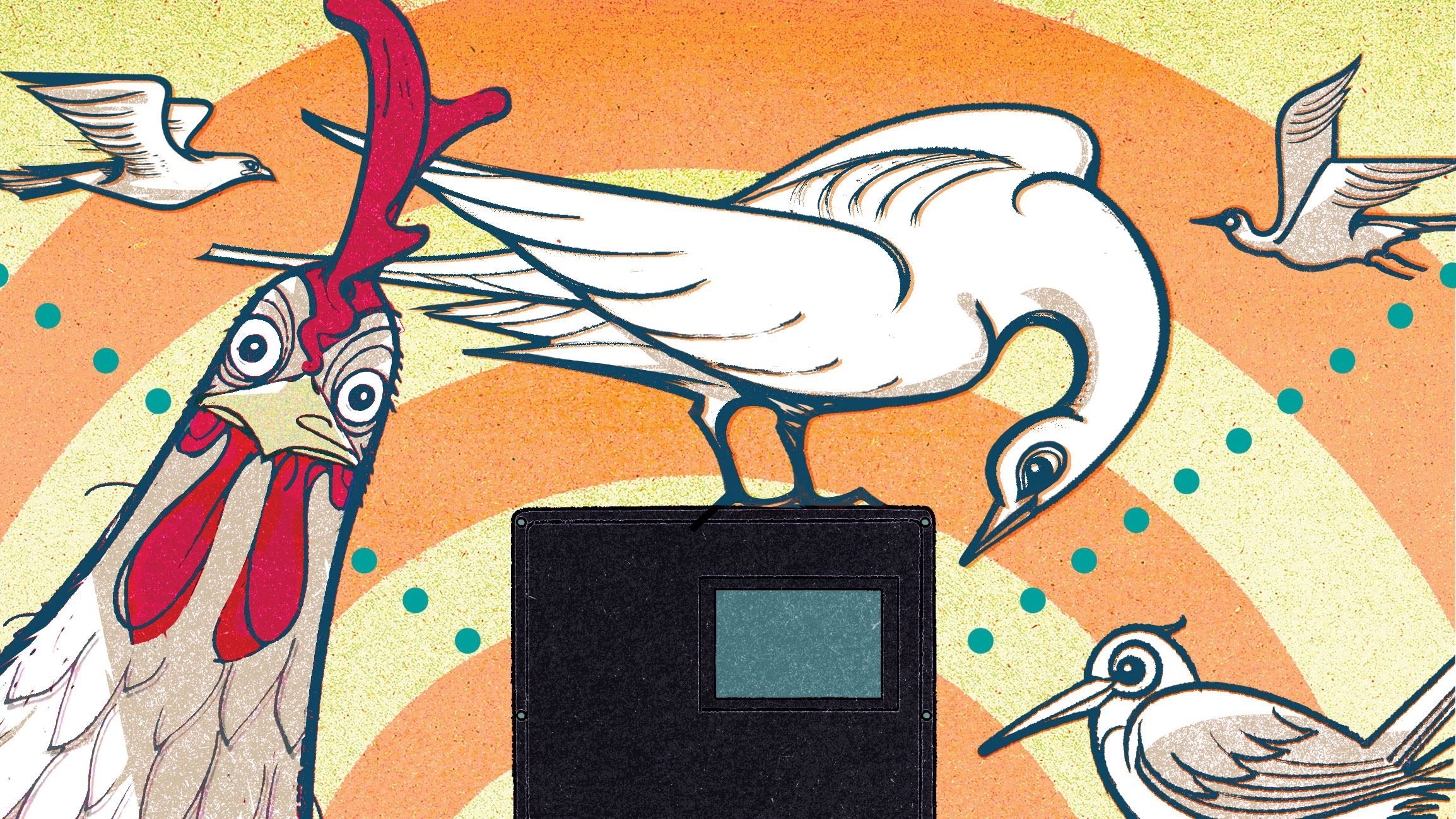 birds around a man-made device