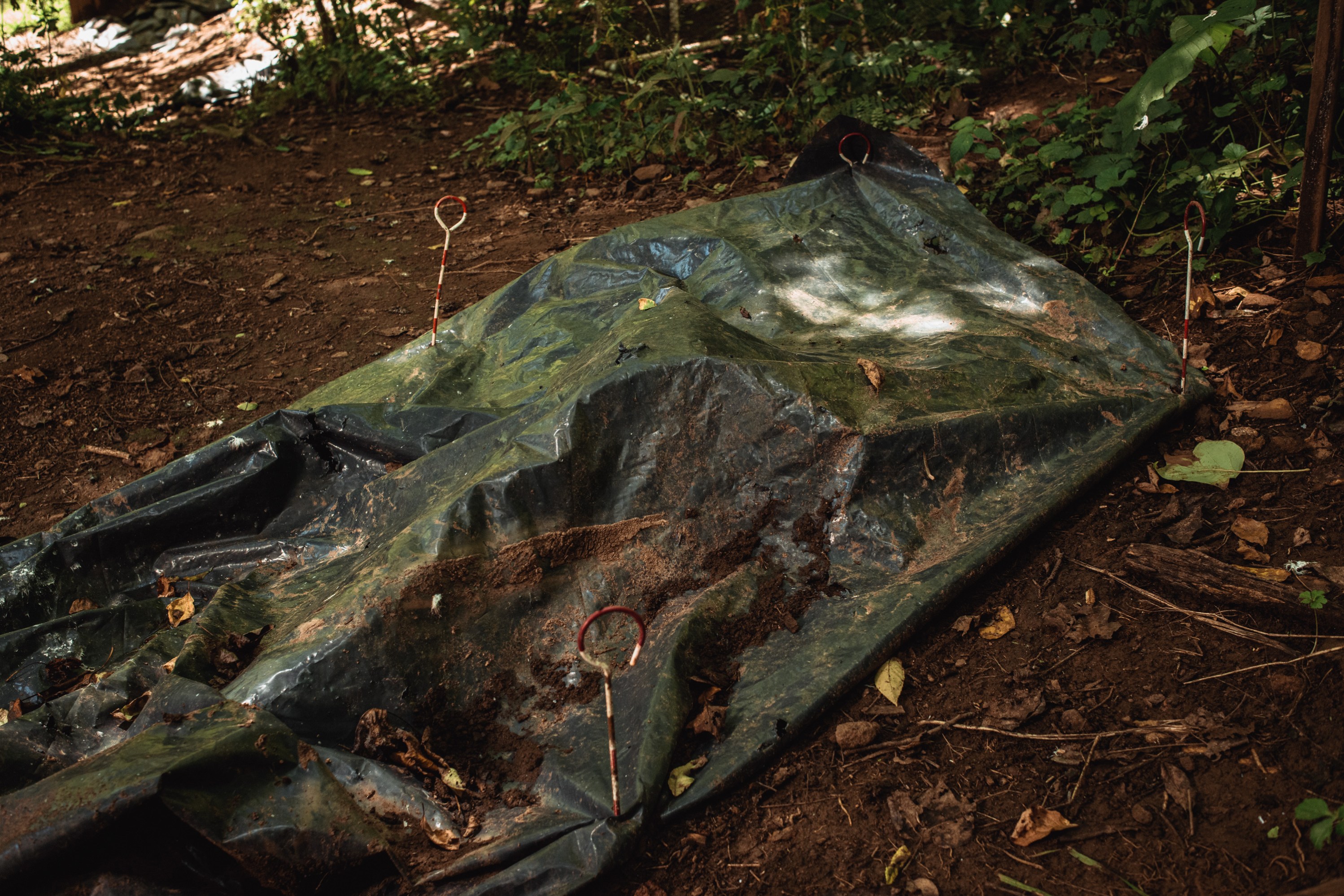 A donor body under a tarp at the decomp facility