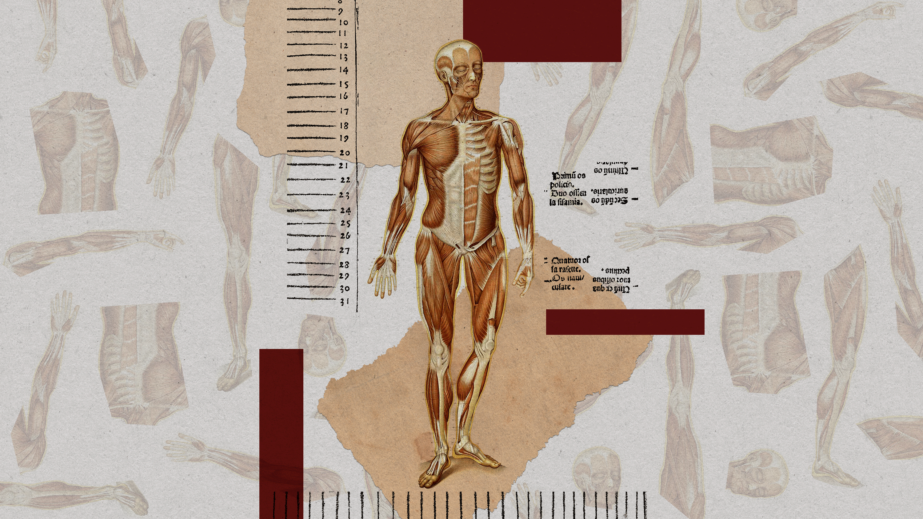 Illustrated collage of an anatomical figure, surrounded by an abstract pattern of body parts and numerical scribbles.